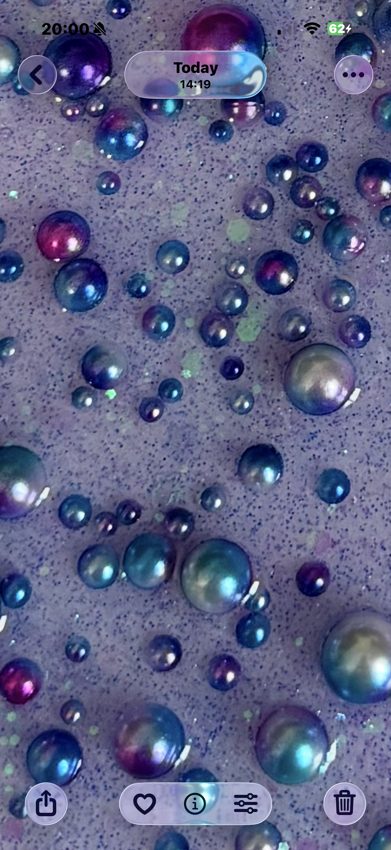 The Singular Collection 2025 - Mystic Moonlight